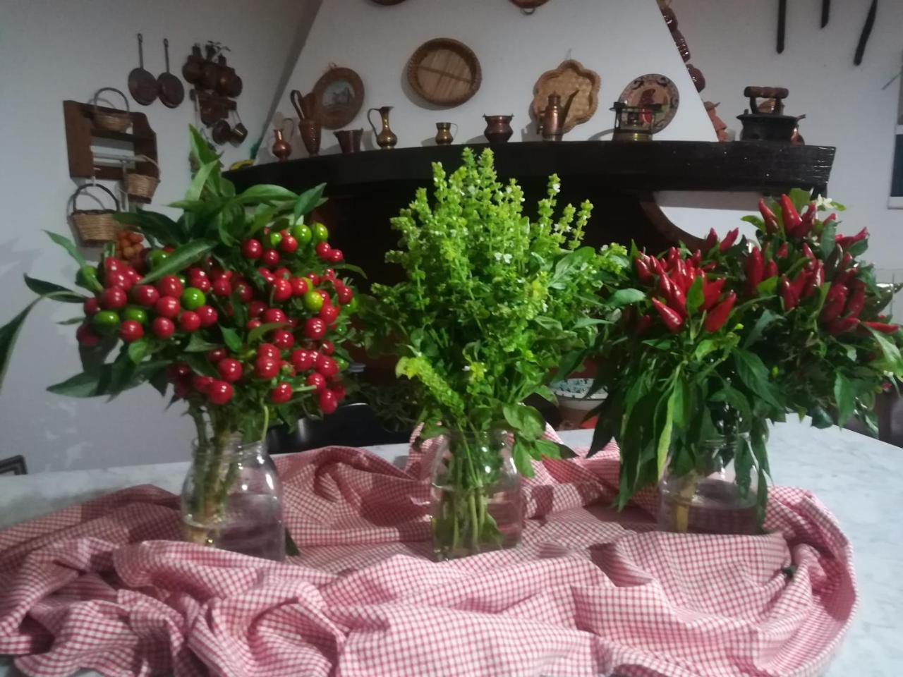 Agriturismo Torrevecchia 圣潘克拉齐奥萨伦蒂诺 外观 照片